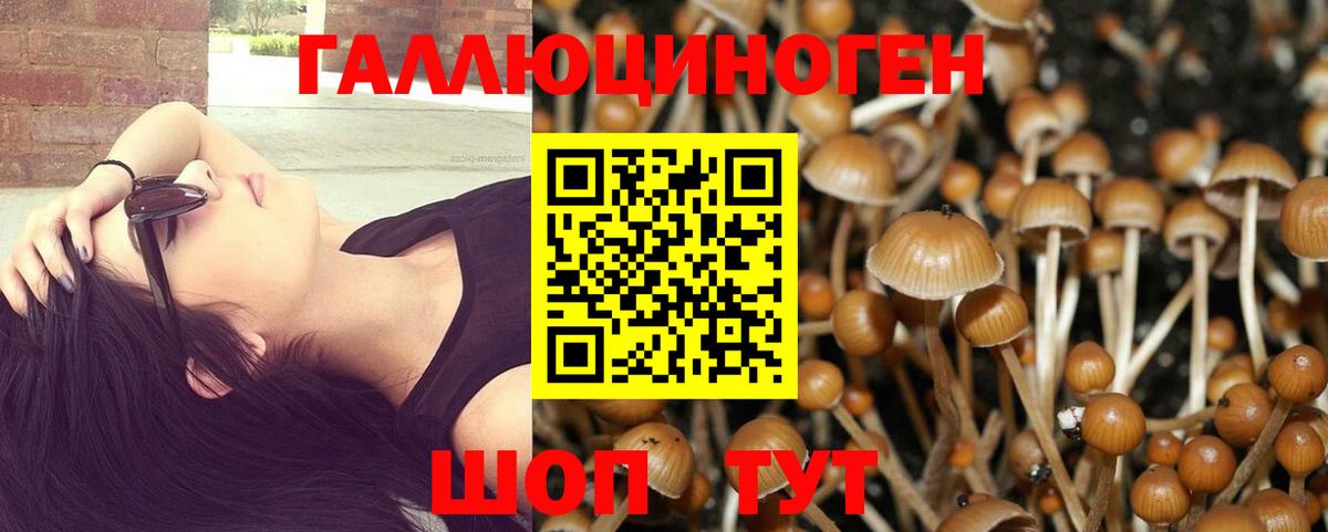 Псилоцибиновые грибы ЛСД  Вход с VPN  Галлюциногенные грибы Magic Shrooms  Воскресенск 